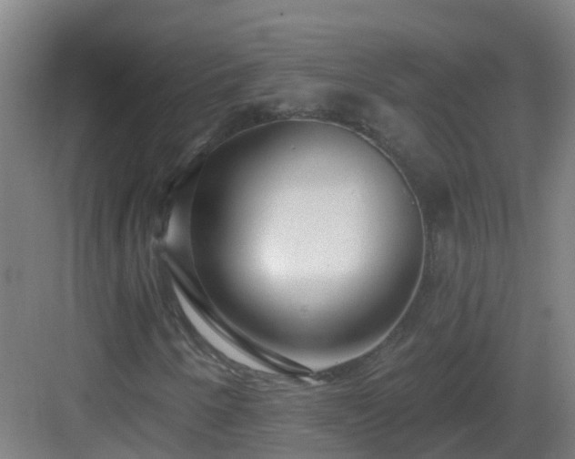 X0000082931250200702081531