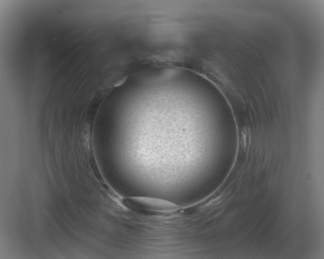 X0000082931251200702081531