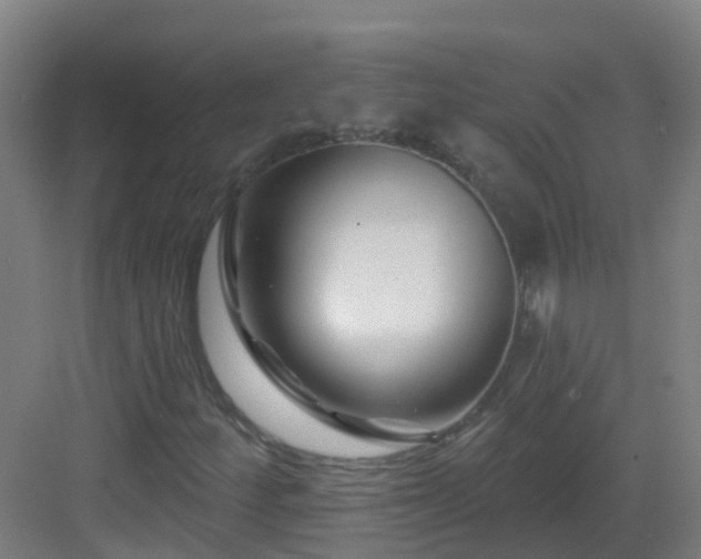 X0000082931252200702081531