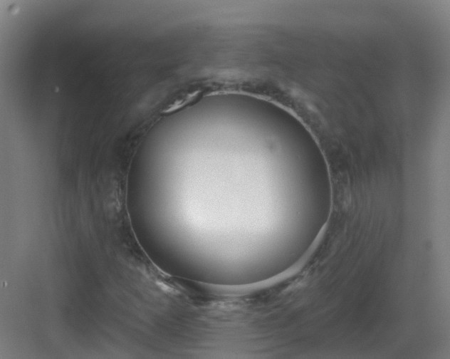 X0000082931253200702081531