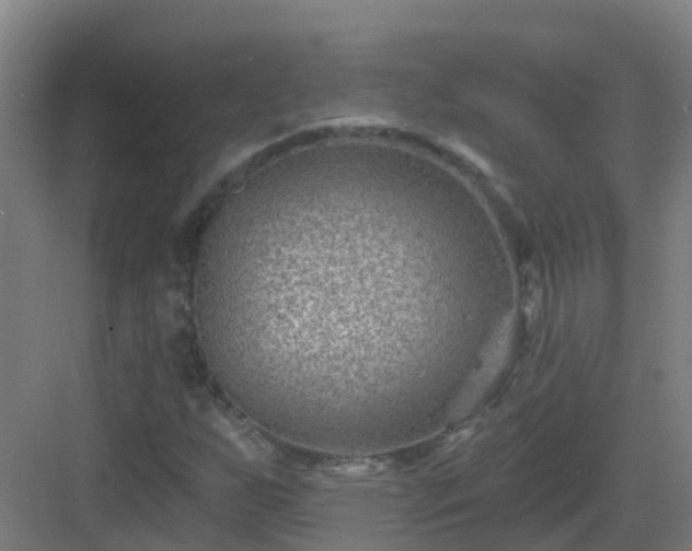 X0000082931255200702081531