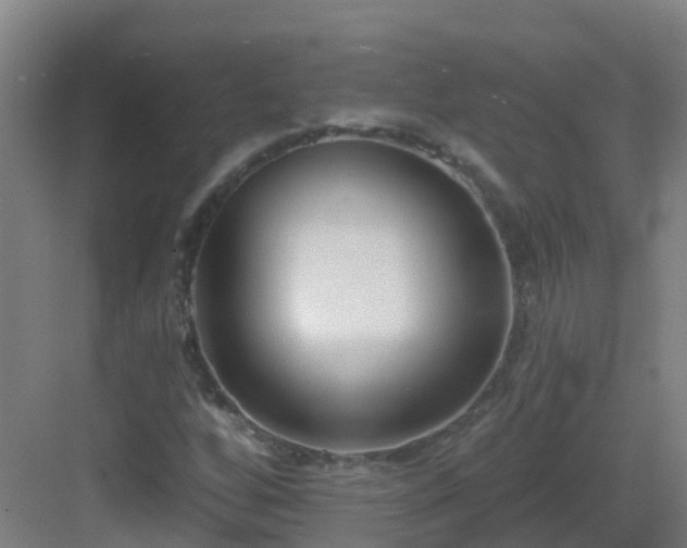 X0000082931256200702081531