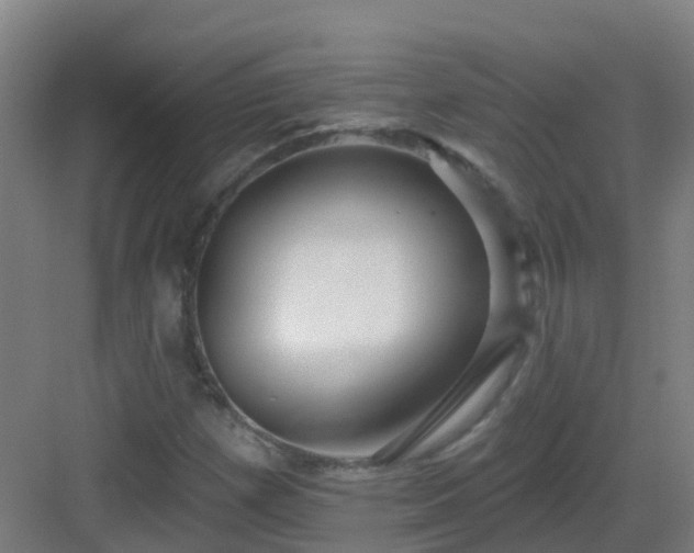 X0000082931257200702081531