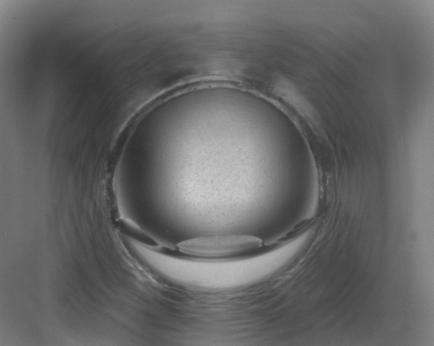 X0000082931260200702081531