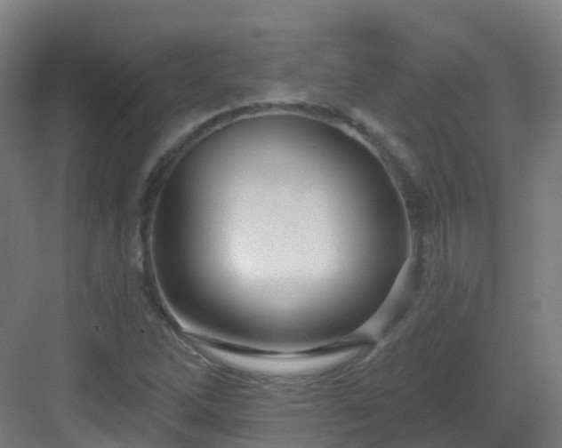 X0000082931262200702081531