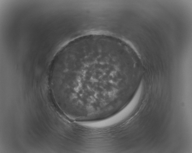 X0000082931263200702081531