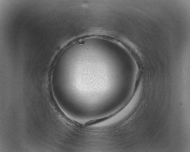 X0000082931264200702081531