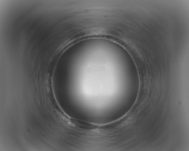 X0000082931265200702081531