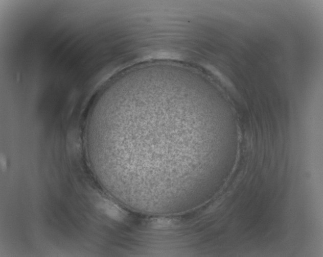 X0000082931266200702081531