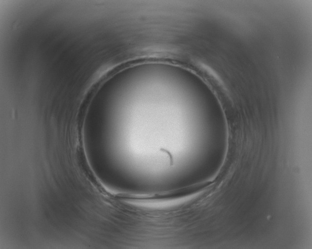 X0000082931267200702081531