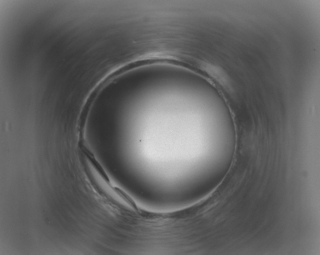 X0000082931268200702081531