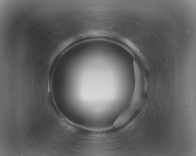 X0000082931269200702081531