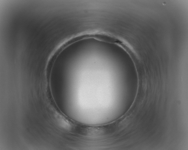 X0000082931270200702081531