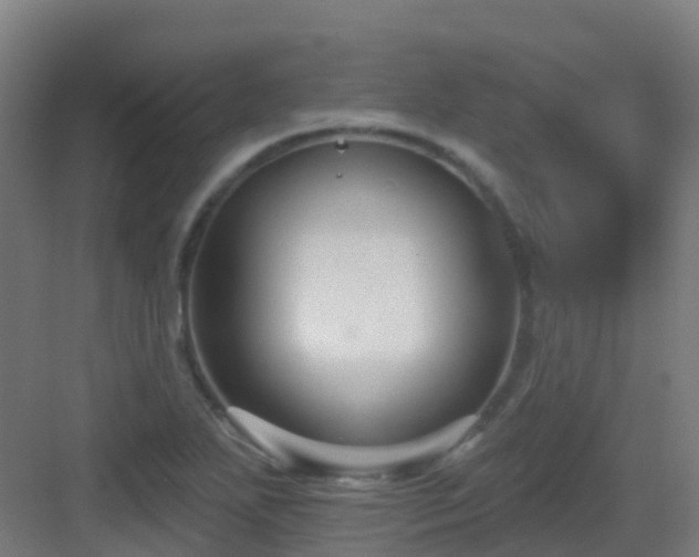 X0000082931271200702081531