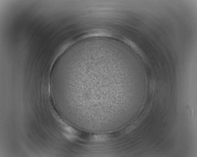 X0000082931274200702081531