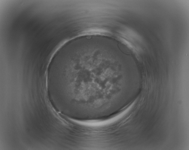 X0000082931275200702081531