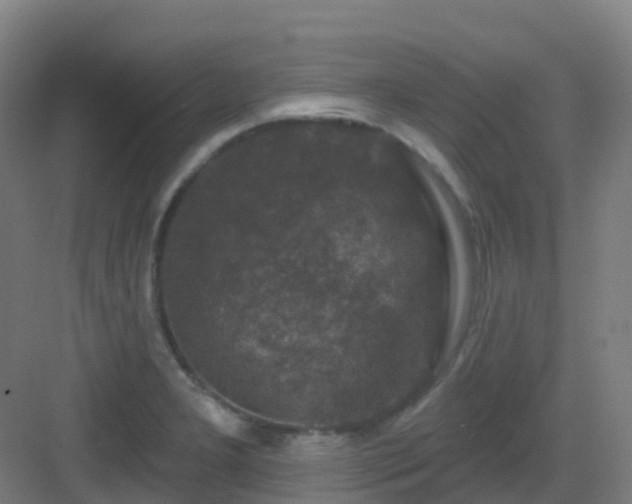 X0000082931277200702081531