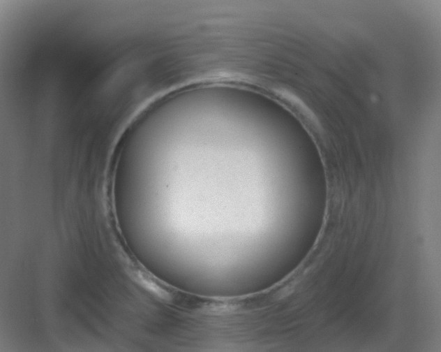 X0000082931278200702081531