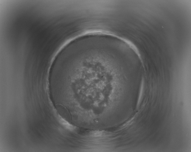 X0000082931279200702081531