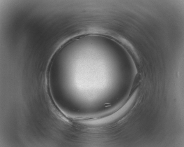 X0000082931280200702081531