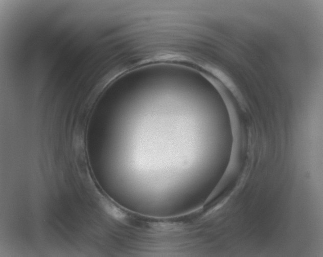 X0000082931281200702081531