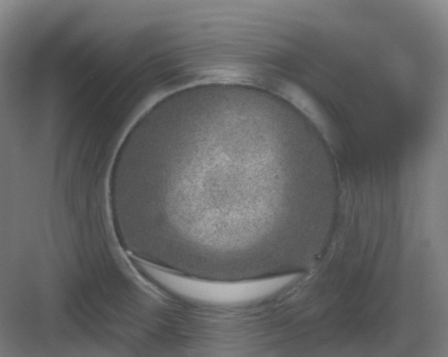 X0000082931283200702081531