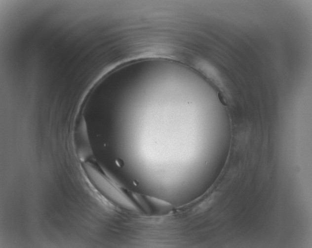 X0000082931284200702081531