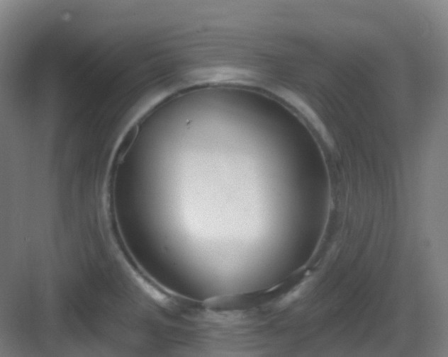 X0000082931285200702081531