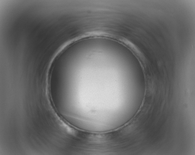 X0000082931286200702081531