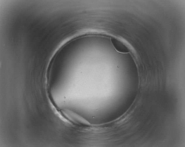 X0000082931287200702081531