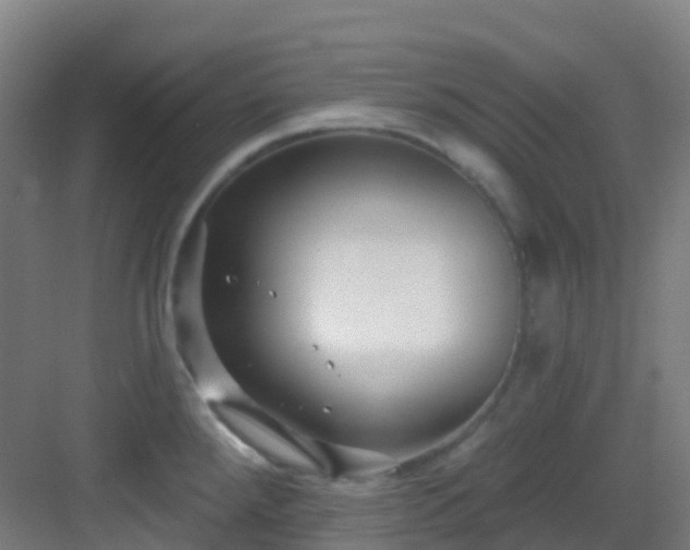 X0000082931288200702081531