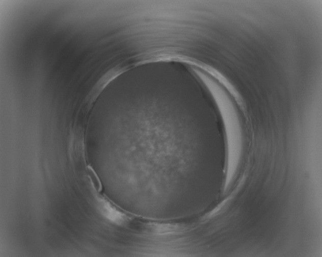 X0000082931289200702081531