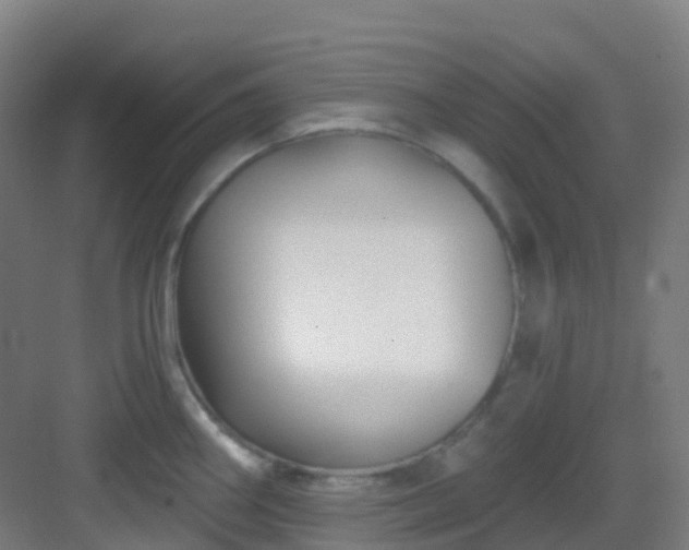 X0000082931290200702081531