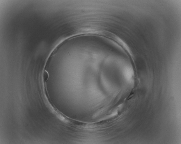 X0000082931291200702081531