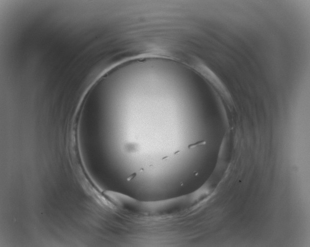 X0000082931292200702081531