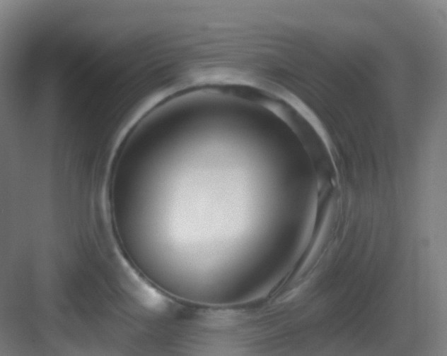 X0000082931293200702081531