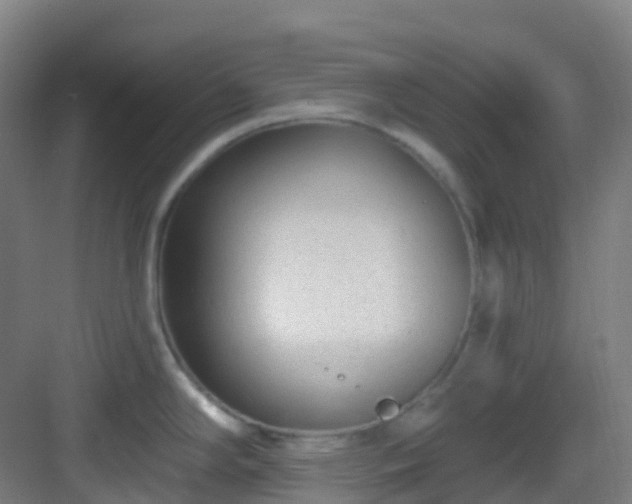 X0000082931294200702081531