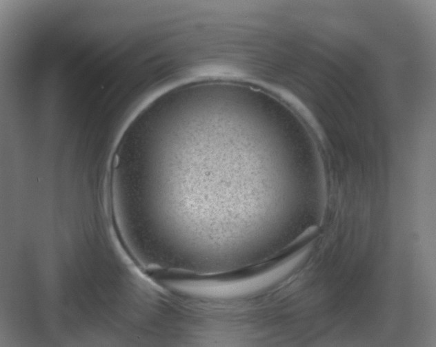 X0000082931295200702081531