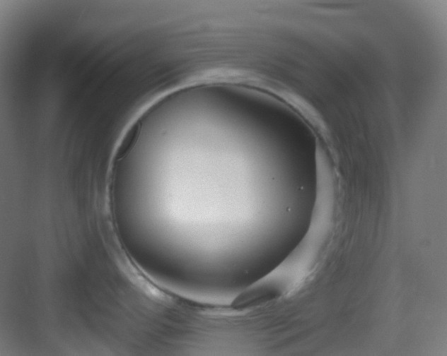 X0000082931296200702081531