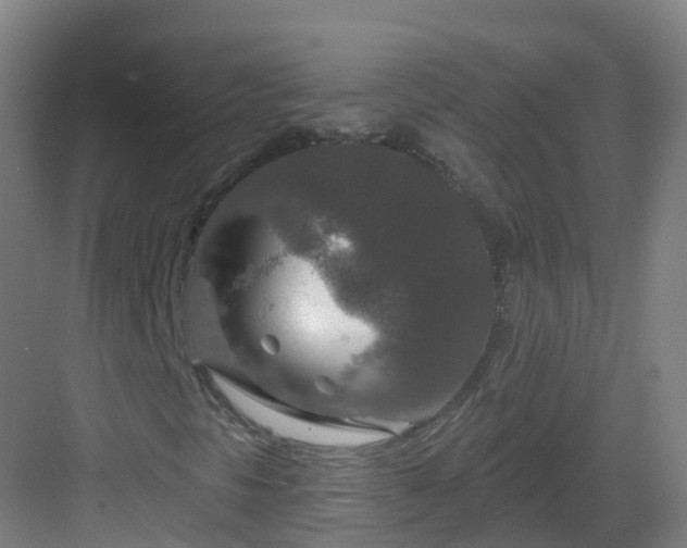 X0000082931297200702081530