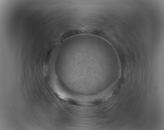 X0000082931298200702081530