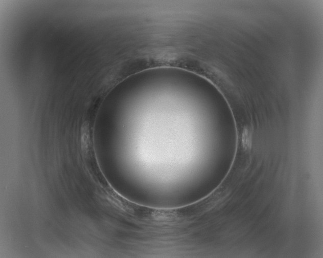 X0000082931299200702081530