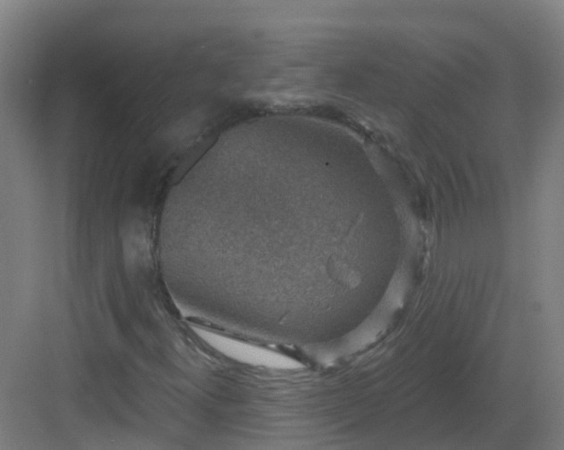 X0000082931300200702081530