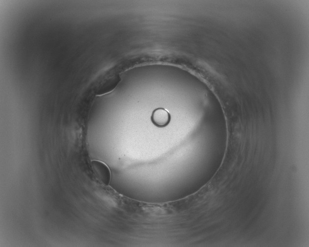 X0000082931302200702081530