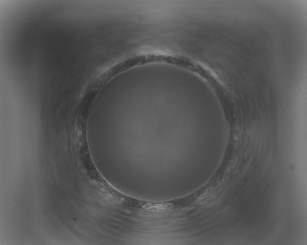 X0000082931303200702081530