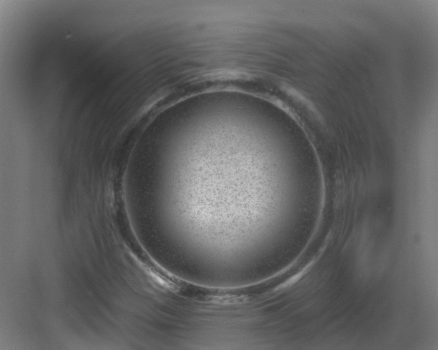 X0000082931305200702081530