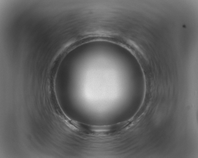 X0000082931307200702081530