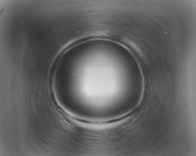 X0000082931308200702081530