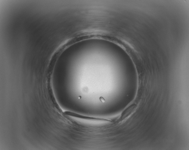 X0000082931309200702081530