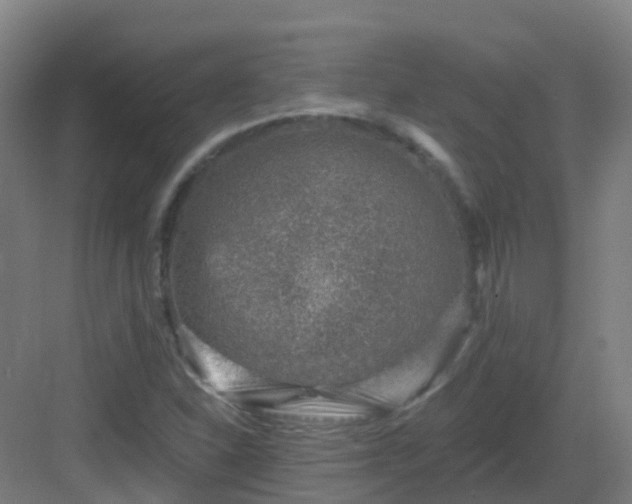 X0000082931310200702081530